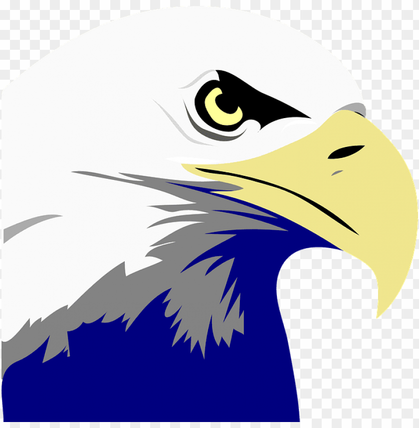 bald eagle, bald eagle head, bald head, american eagle, eagle globe and anchor, eagle silhouette