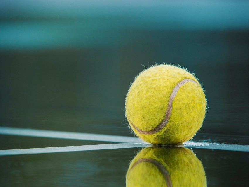 ball, tennis, court, reflection, lines, marking