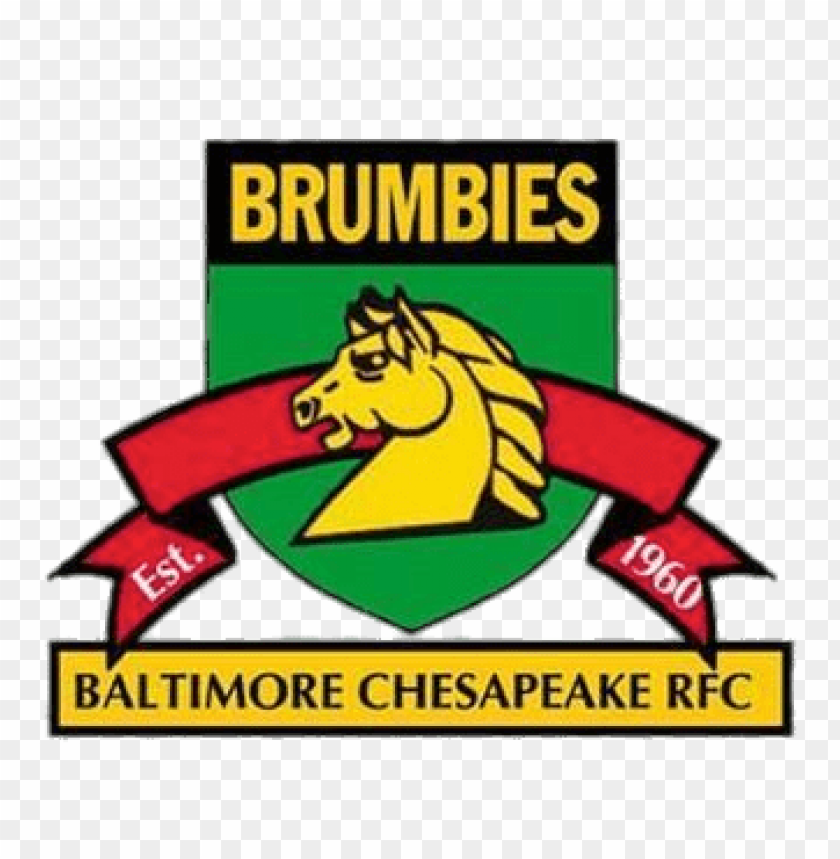 sports, rugby usa, baltimore chesapeake brumbies rugby logo, 