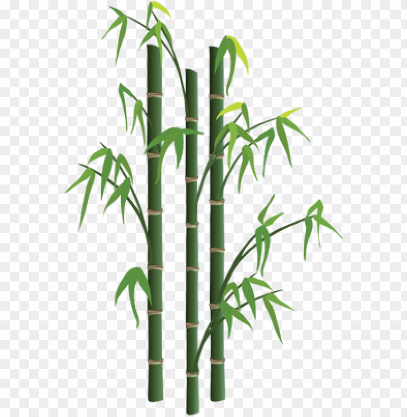 Download bamboo  png  images background TOPpng