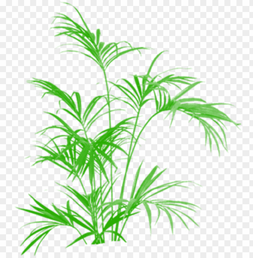 bamboo green tree clipart vector png tree png plan kentia palm artificial 5 ft uk PNG transparent with Clear Background ID 205990
