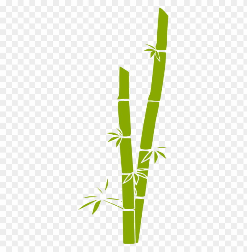 bamboo, cane,خيزران,بامبوو