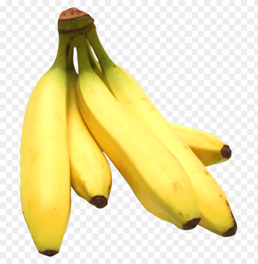 fruits, banana, banana bunch, yellow banana