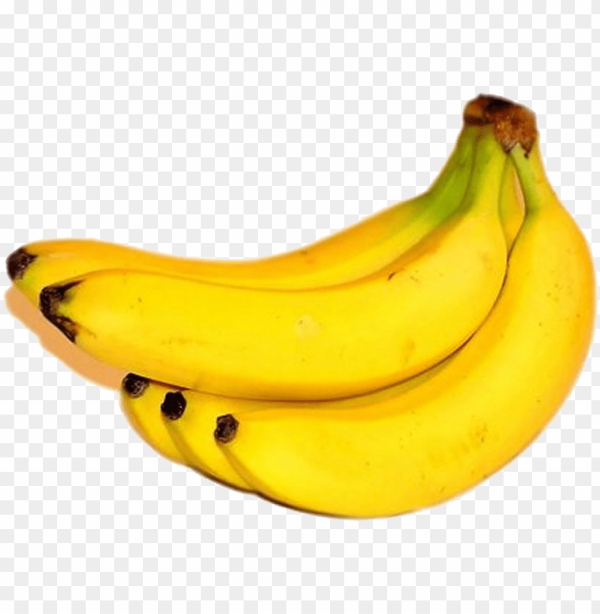 banana tree, fruit tree, banana, fruit salad, banana split, fruit