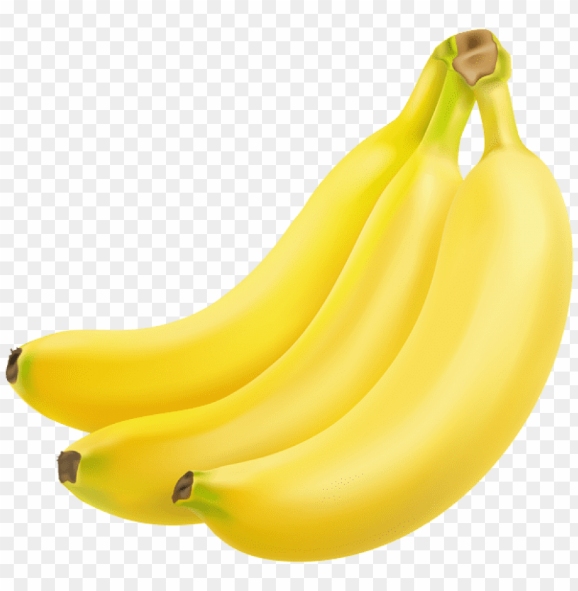 Free Download HD PNG Bananas Transparent Png Free PNG Images TOPpng
