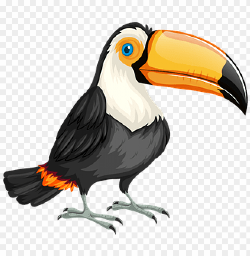 bandeira do brasil, wild flowers, phoenix bird, twitter bird logo, where the wild things are, big bird
