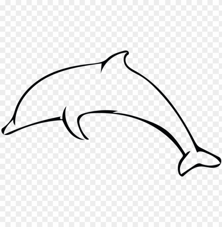 banner simple dolphin outline animalcarecollege info dolphin outline black and white PNG transparent with Clear Background ID 439283