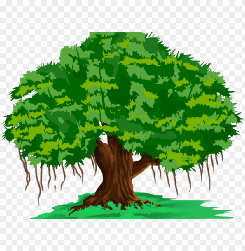 banyan tree clipart hindi banyan tree in cartoo PNG transparent with Clear Background ID 206844