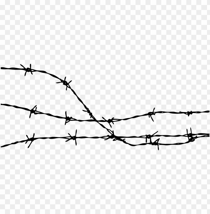 barbed wire PNG image with transparent background@toppng.com