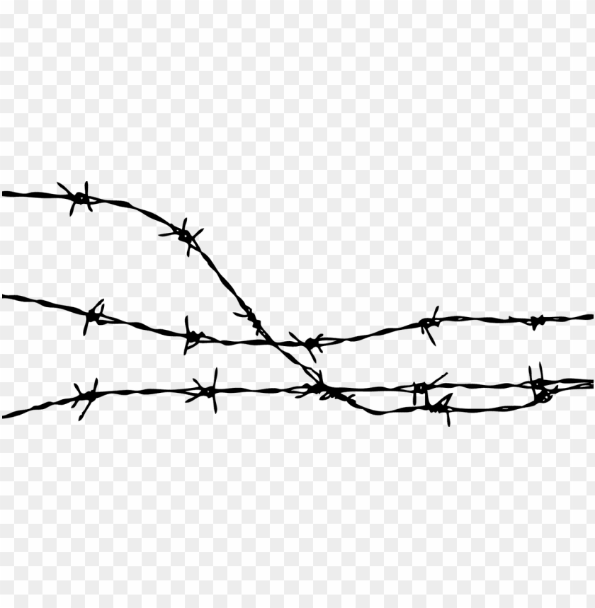 barbed wire PNG transparent with Clear Background ID 116015