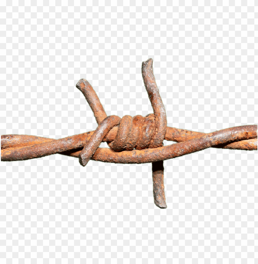 miscellaneous, barbed wire, barbed wire rusted knot, 