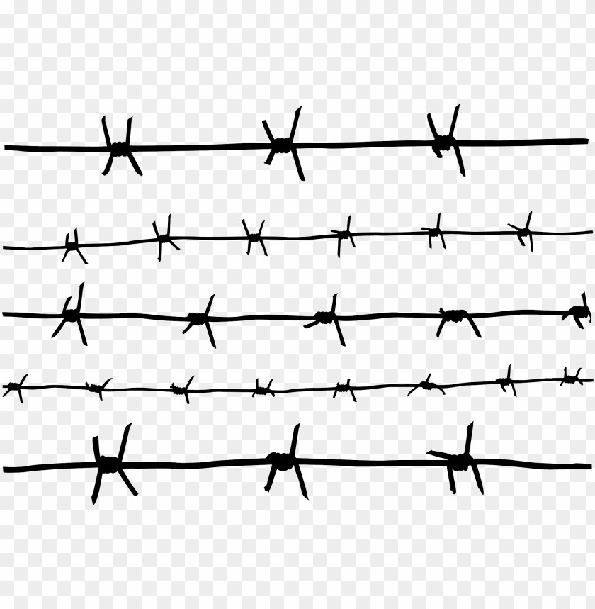 
barbwire
, 
barbed wire
, 
metal wire
, 
boundari wire
