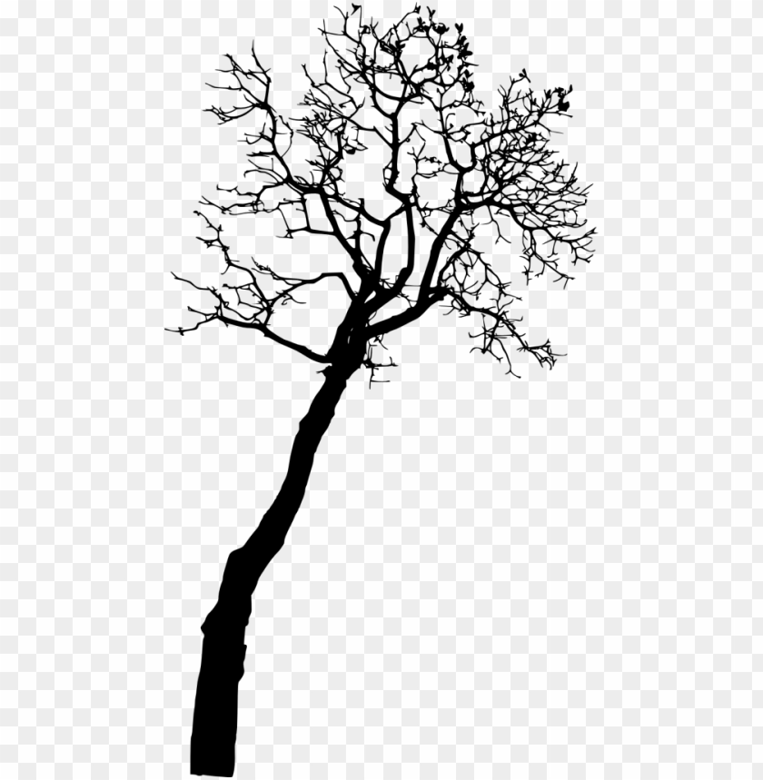 Download Bare Tree Silhouette Png Free Png Images Toppng