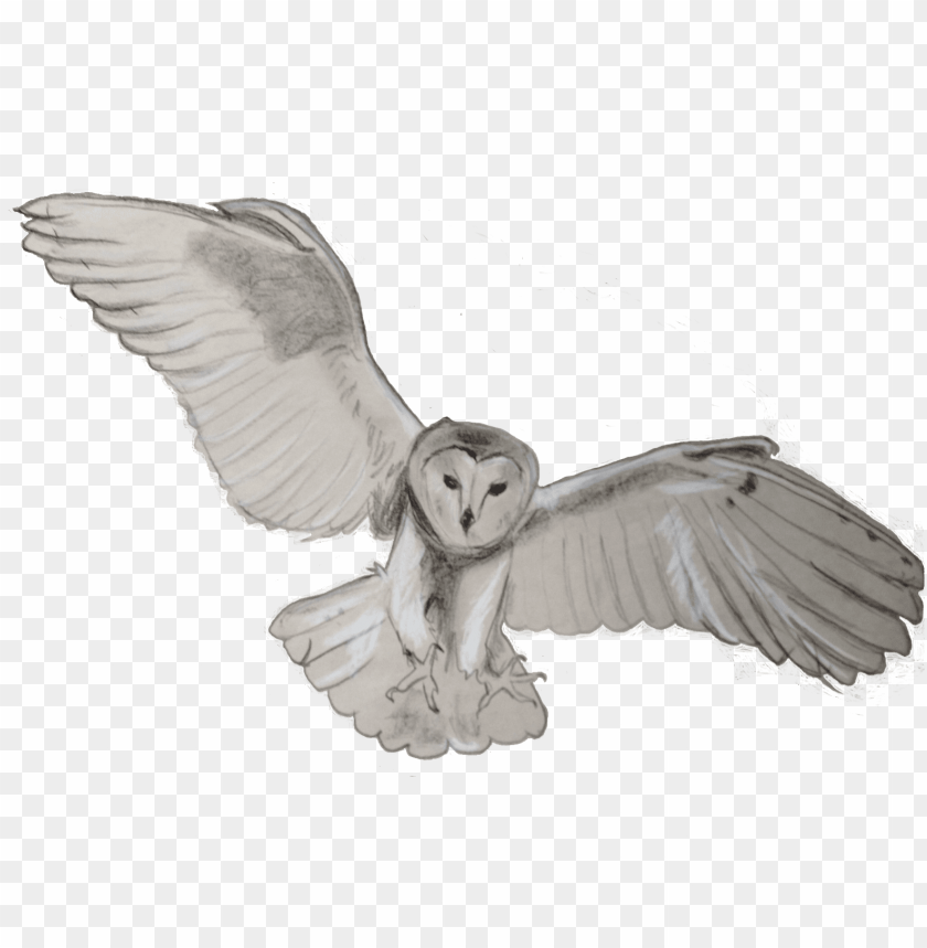 barn owl, background, barn, pattern, owl, design, tree