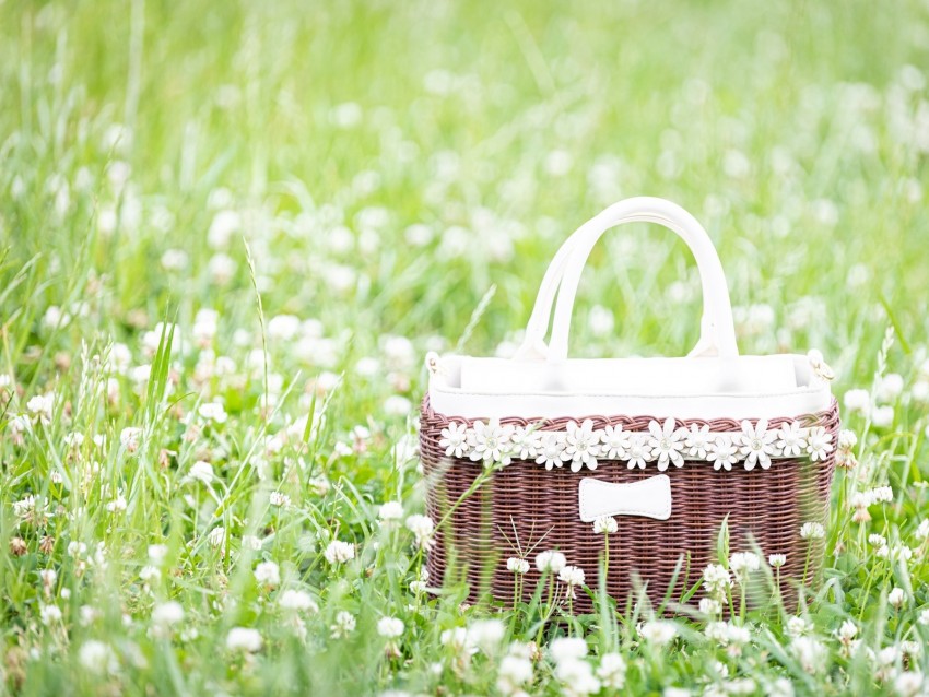 basket, flowers, grass, field, meadow