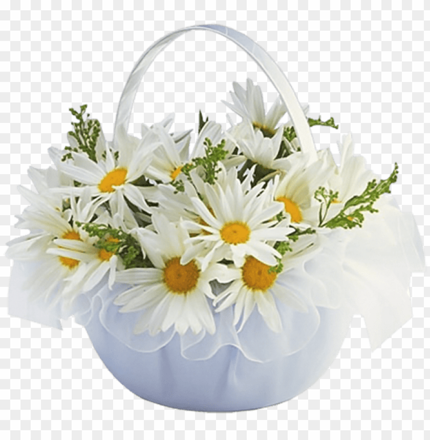 basket with daisies transparent