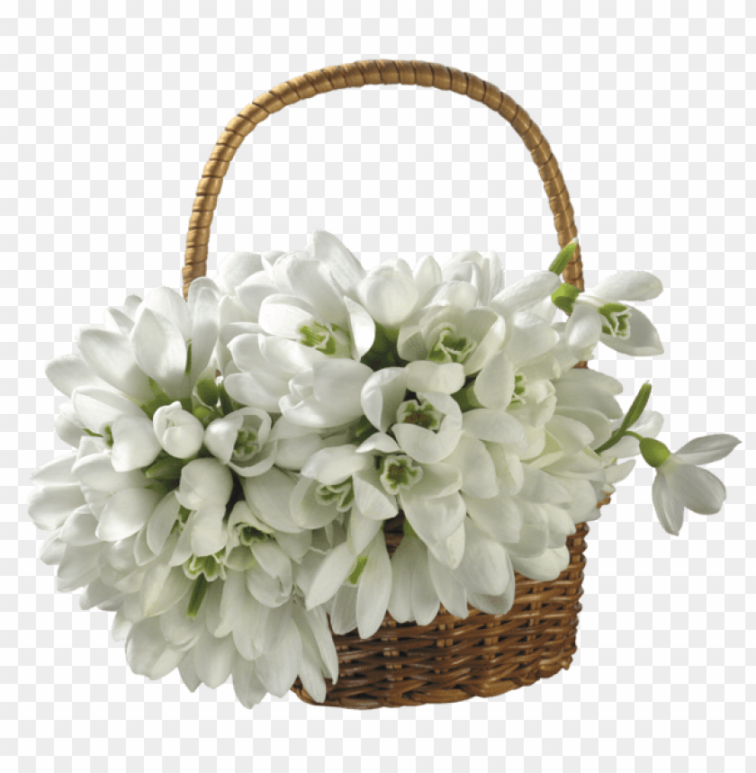 PNG image of basket with spring snowdrops with a clear background - Image ID 45581
