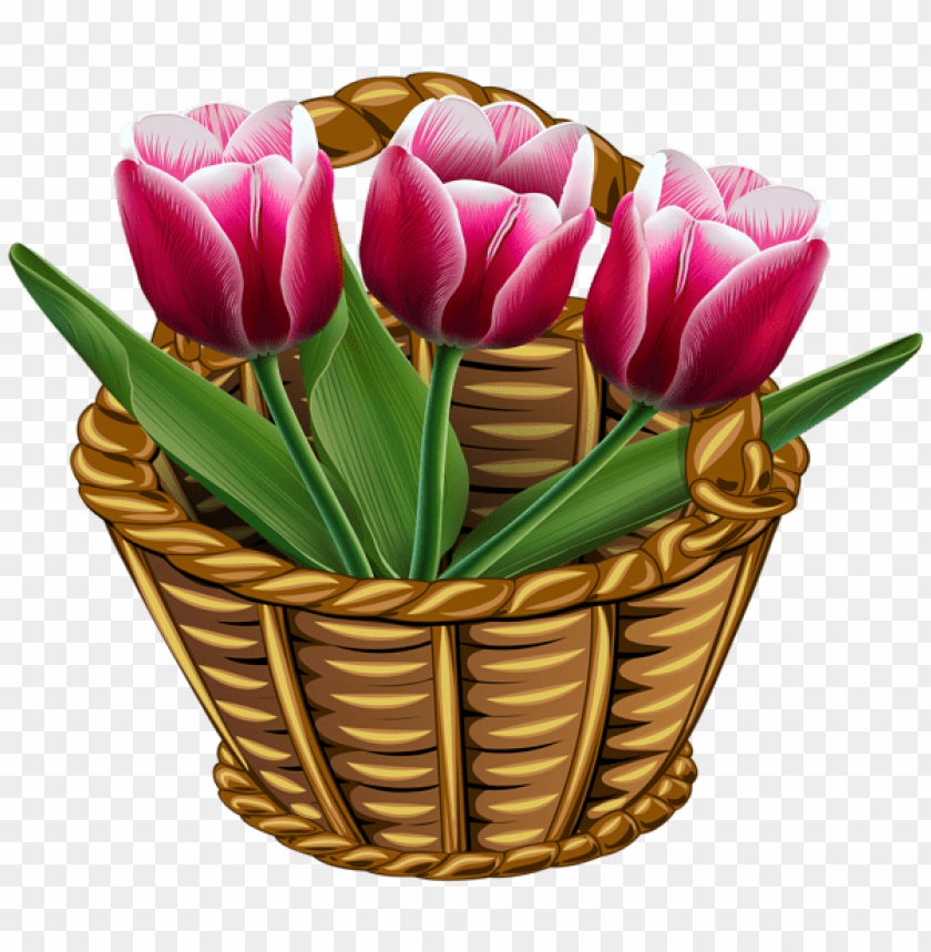 basket with tulips transparent