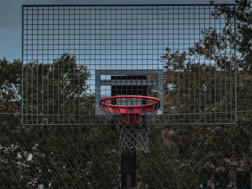 basketball hoop, backboard, hoop, basketball, court