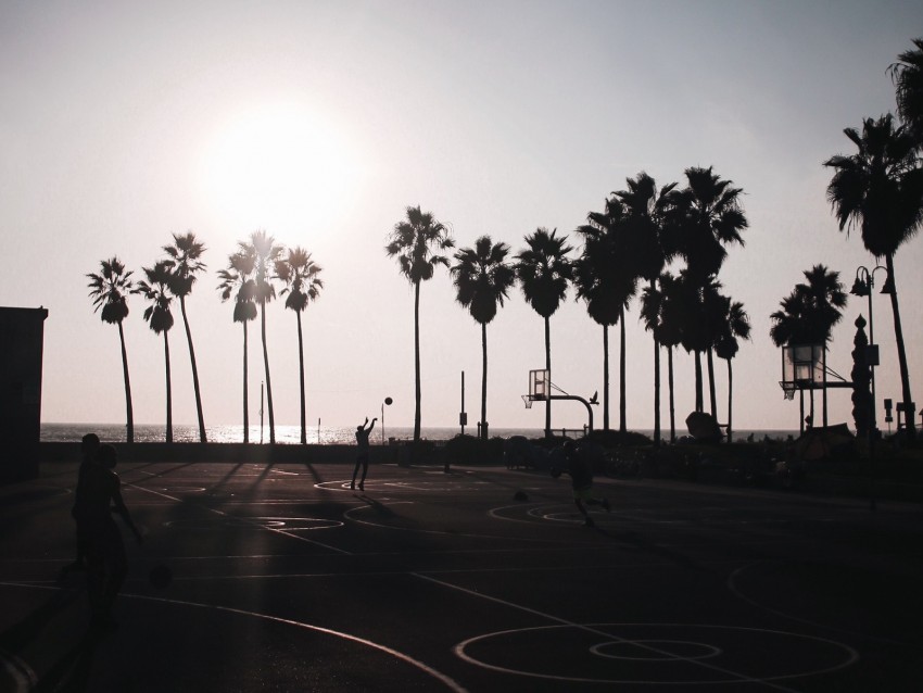 free PNG basketball, playground, dark, silhouettes, palm trees, sun background PNG images transparent