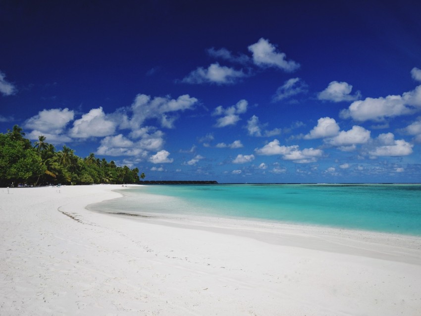 beach, sand, palm, island, tropical, maldives