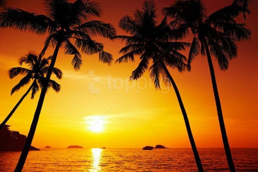 beach sunset background best stock photos | TOPpng