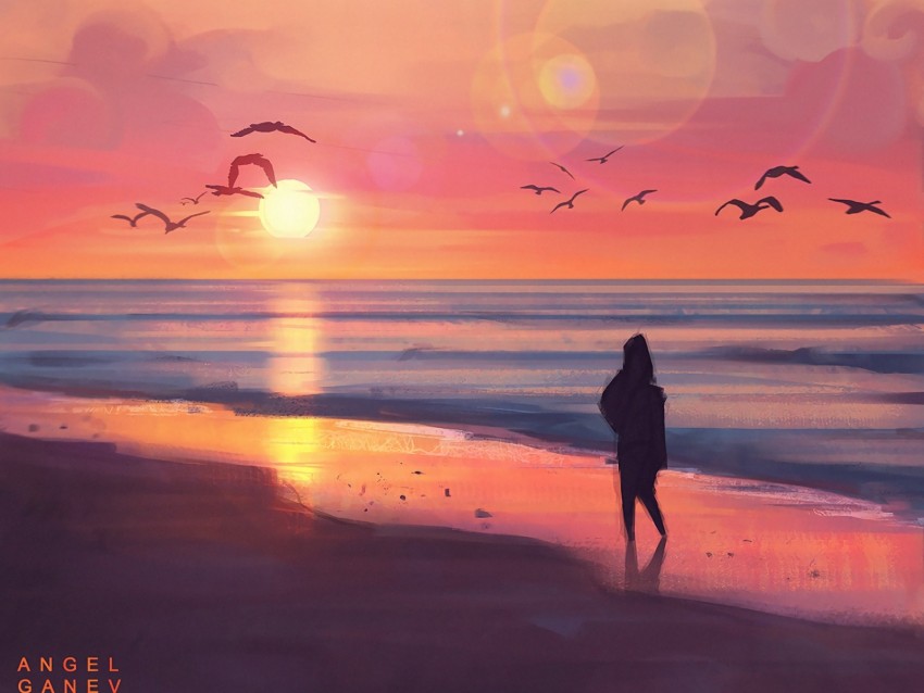 beach, sunset, silhouette, art, sea, birds