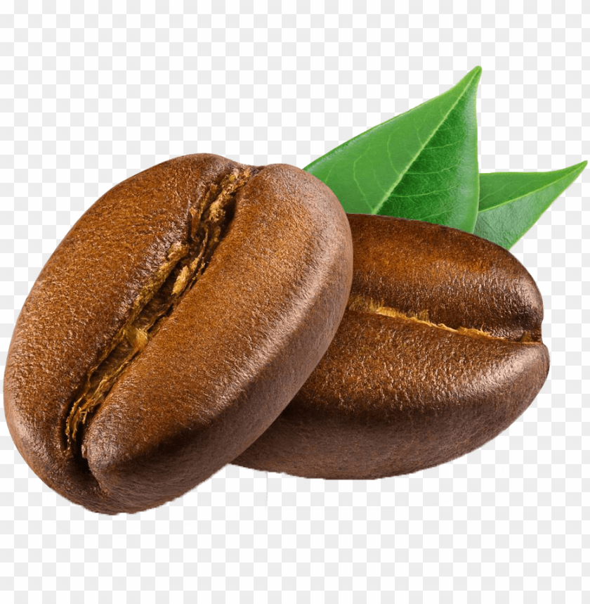 cocoa, flower, lunch, leaf pattern, coffee bean, branch, sauce
