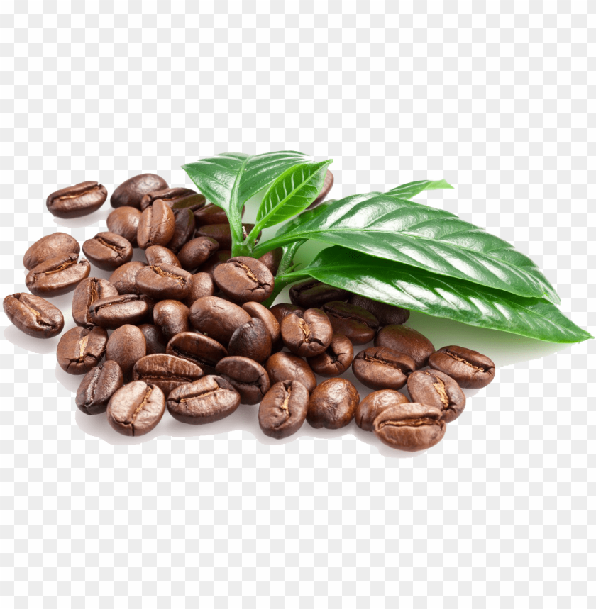 beans transparent images pluspng coffee bean leaf PNG transparent with Clear Background ID 171905