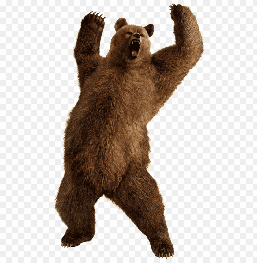 Bear Png Images Background - Image ID 349