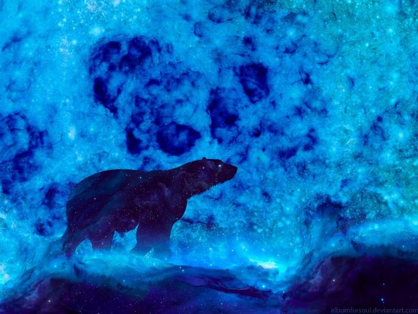 bear, art, glow, blue, northern