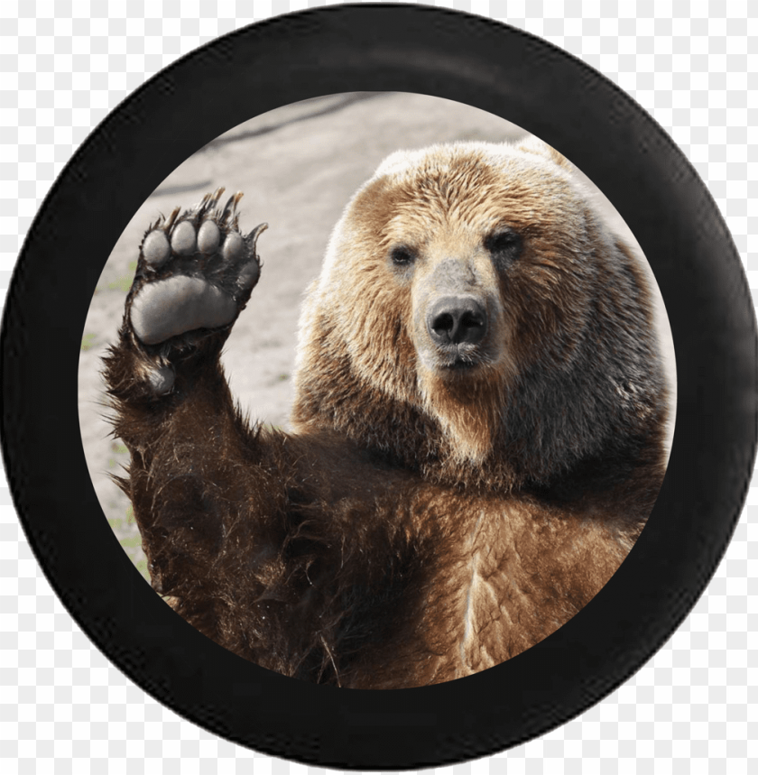 grizzly bear, bear paw, bear face, cute bear, bear, american flag waving