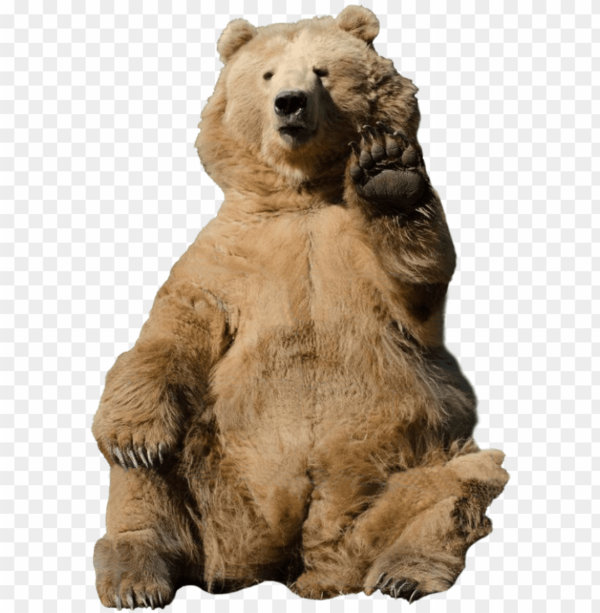 Bear Waving Transparent Background Png Image With Transparent Background Toppng - roblox bear walking gif