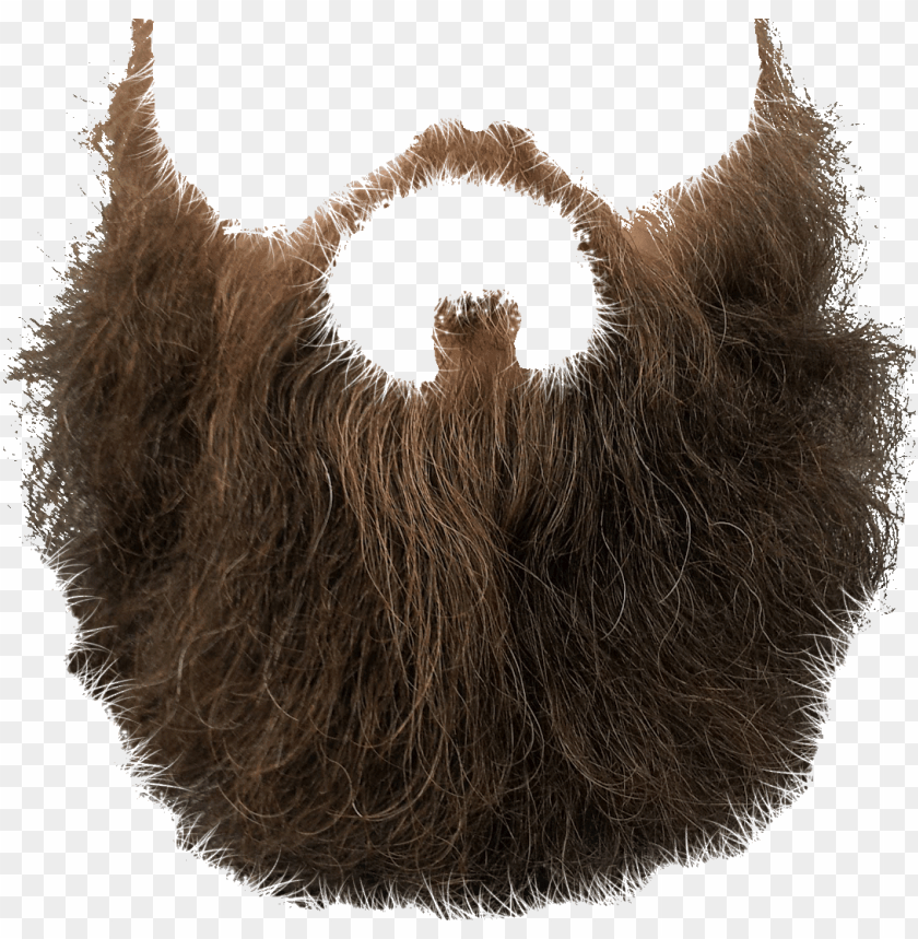 Transparent background PNG image of beard and moustache - Image ID 26037