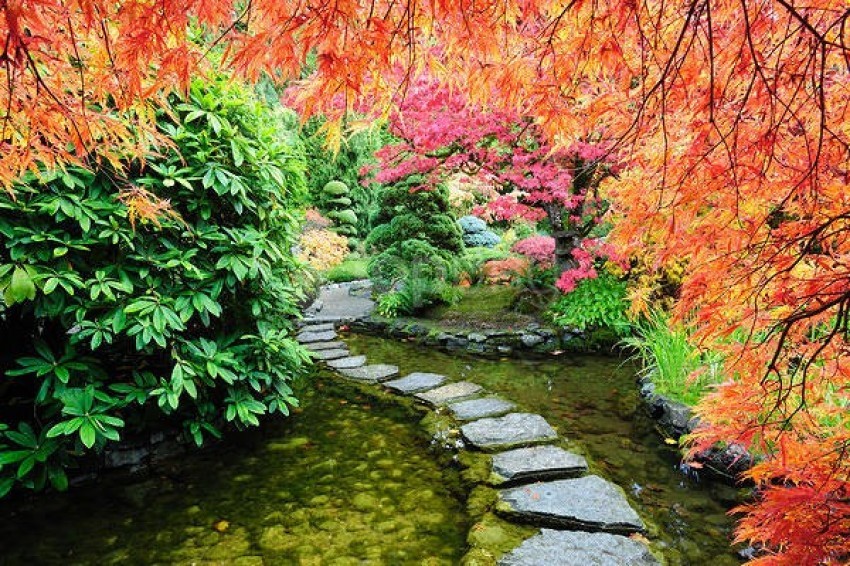 Beautiful Autumn Landscape Hd Wallpaper Background Best Stock