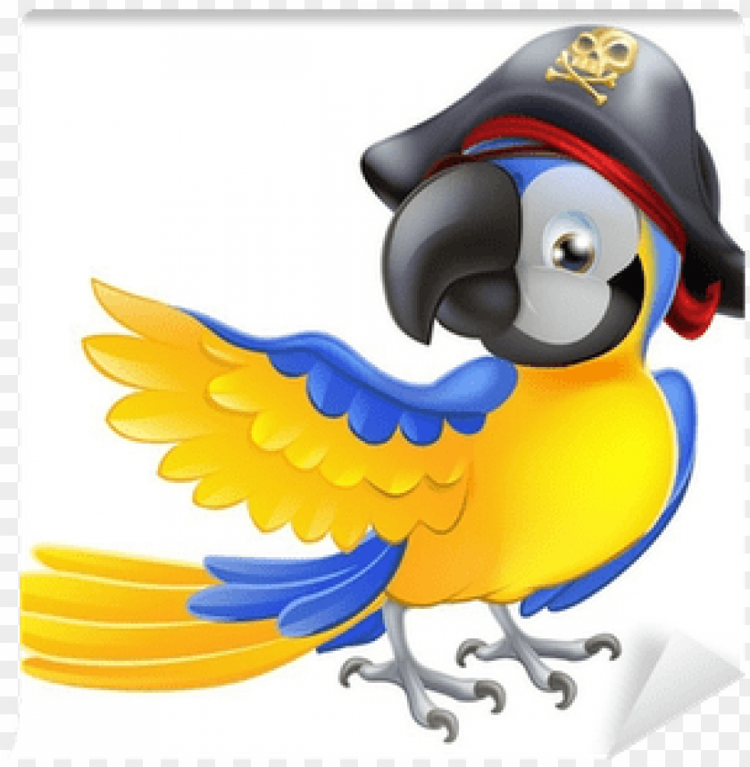 pirate parrot, pirate flag, pirate skull, download button, parrot, pirate