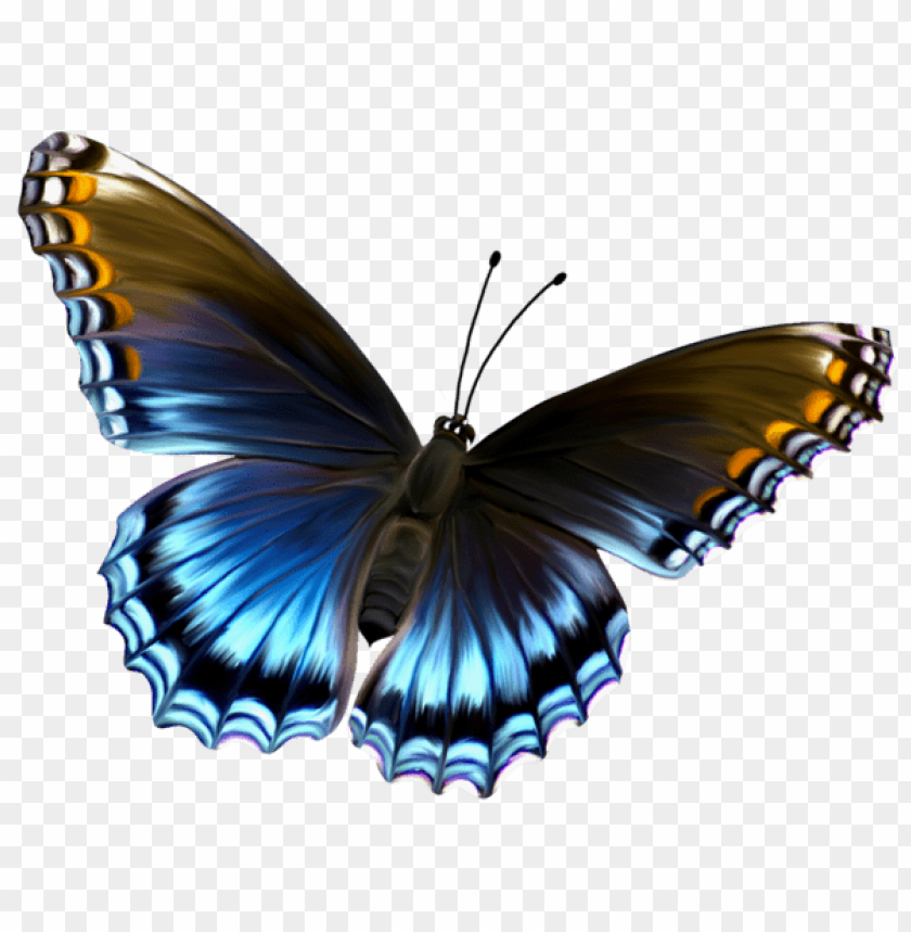 Download Beautiful Blue And Brown Butterfly Clipart Png Photo Toppng - brown beautiful hair for beautiful people roblox
