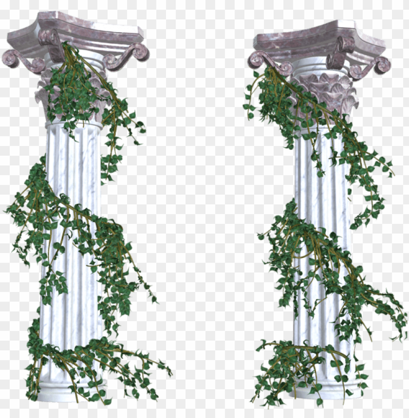 beautiful columns with vines png decorative elements