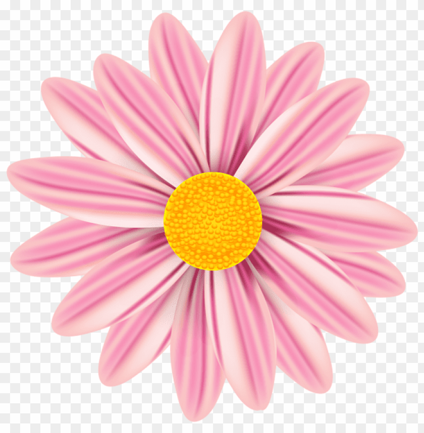 PNG image of beautiful daisy with a clear background - Image ID 45380