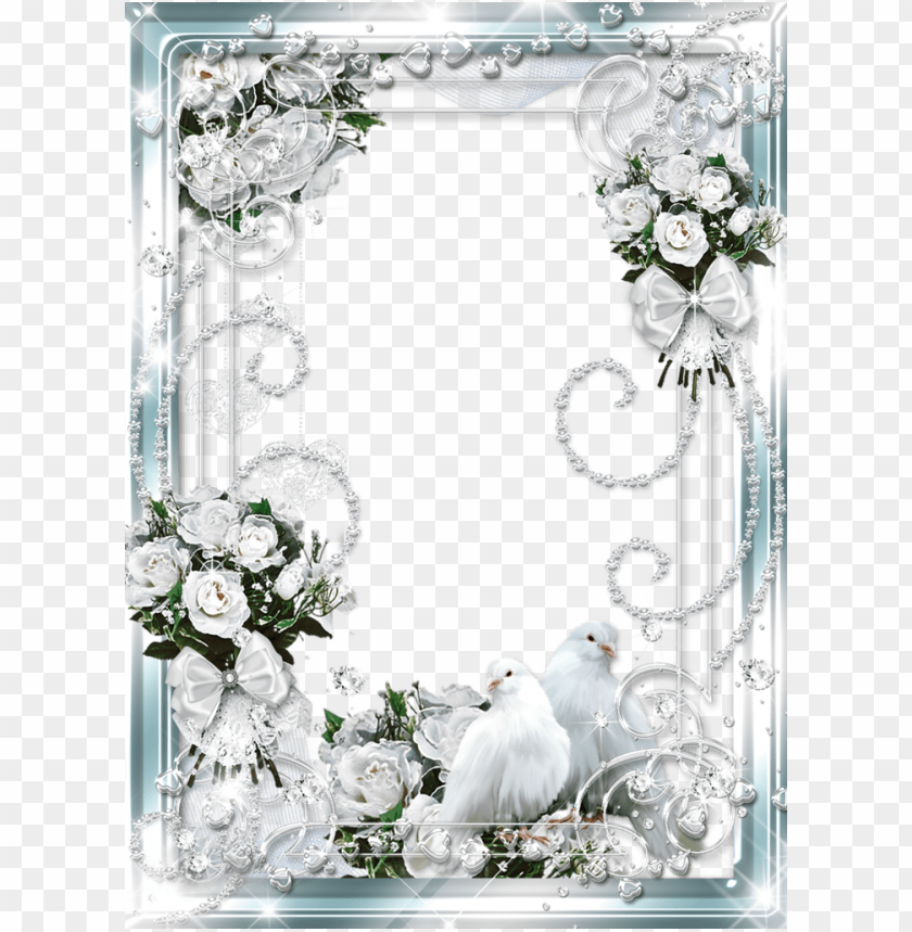 beautiful delicate wedding transparent photo frame with white roses and  doves background best stock photos | TOPpng