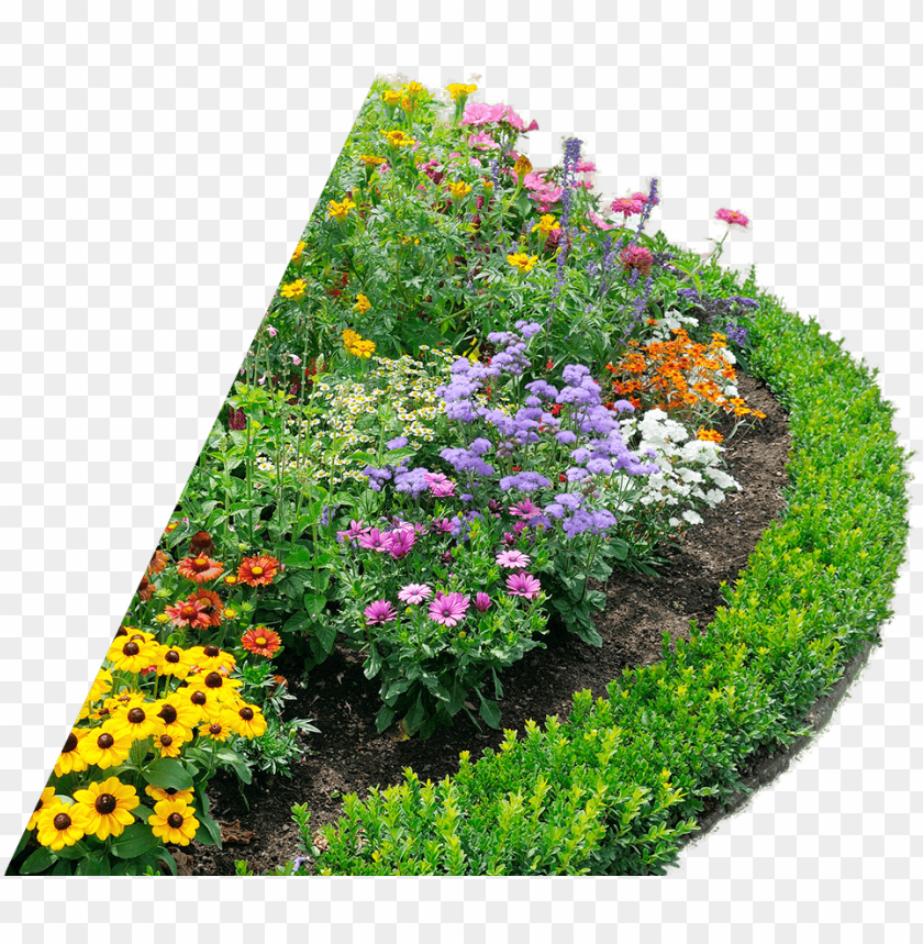 Beautiful Flower Bed Ornamental Plants Png Image With Transparent Background Toppng - flowery bed roblox