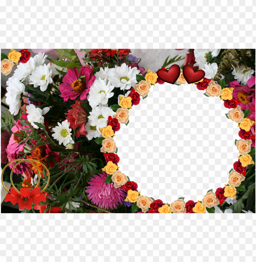 beautiful flowers frames photo images flower wallpaper flower photo frames hd PNG transparent with Clear Background ID 218005