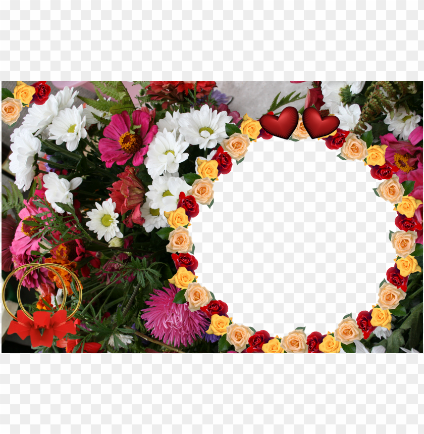 Beautiful Flowers Frames Photo Images Flower Wallpaper - Flower Photo Frames Hd PNG Transparent Background