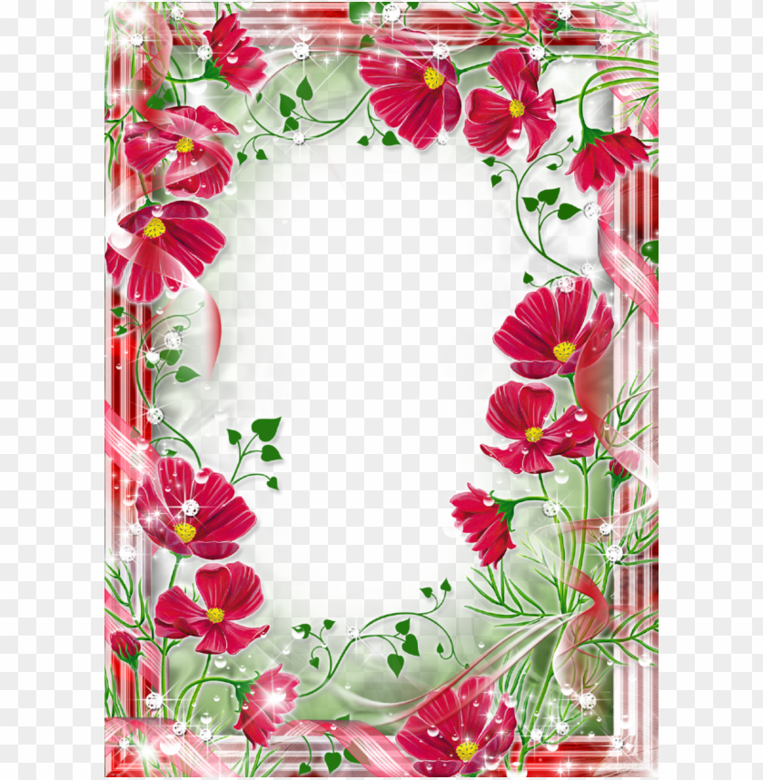 flower frame, flowers tumblr, vintage frames, photo frames, wild flowers, christmas frames and borders