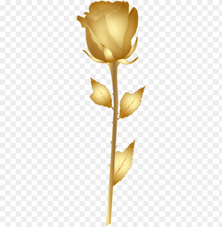 background, plants, gold, spring, leaves, rose, symbol