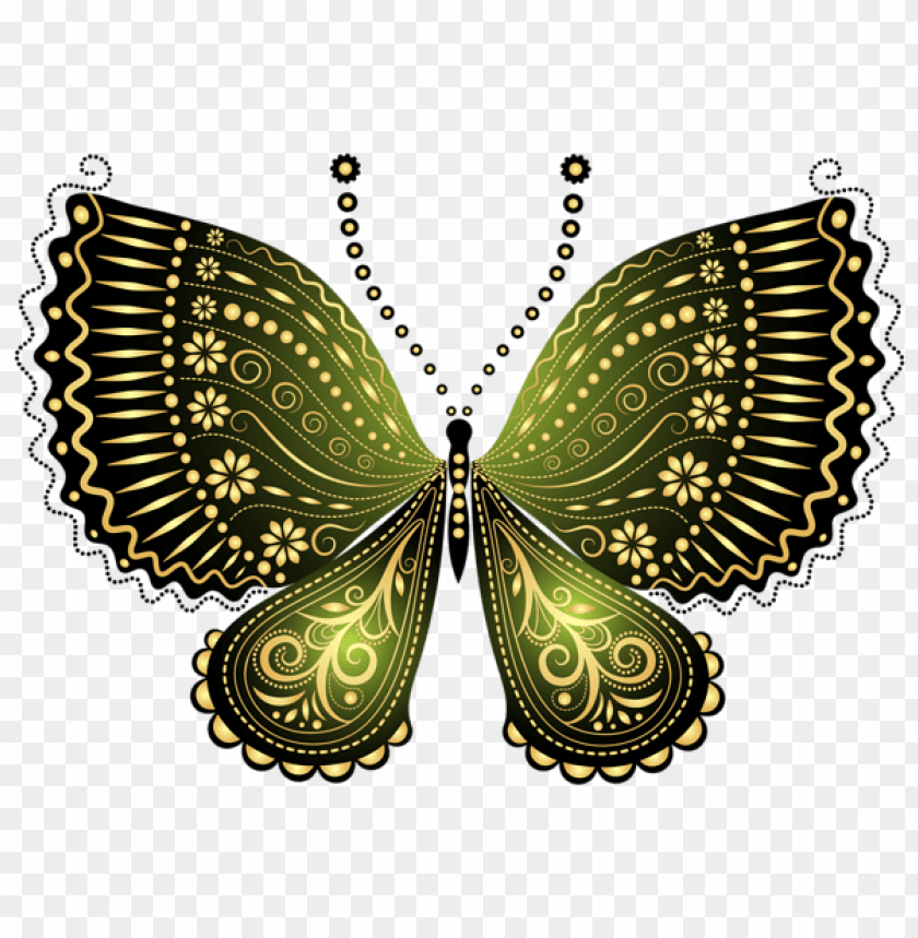 beautiful green decorative butterfly