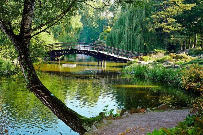 Beautiful Landscape With Bridge Hd Wallpaper Background Best Stock