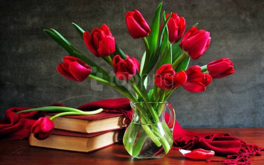 beautiful red tulips in vase wallpaper background best stock photos | TOPpng