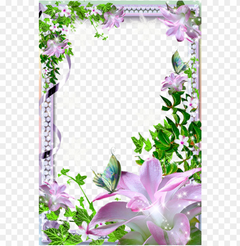beautiful transparent photo frame with flowers background best stock photos - Image ID 57621