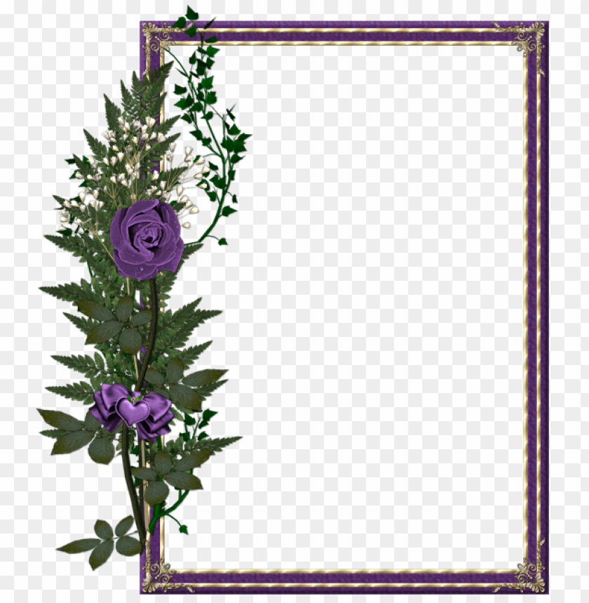 beautiful transparent purple photo frame with purple rose background best stock photos@toppng.com